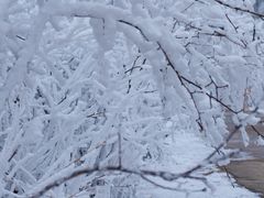 -浙西天池-售票处