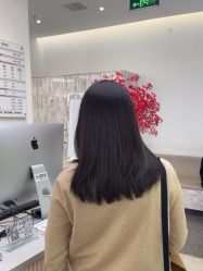 -YESIDO椰岛造型