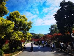 -广州市帽峰山景区