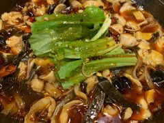 麻辣石锅鱼-都江堰石锅鱼