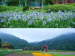 -广州市石门国家森林公园
