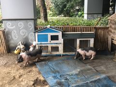 -宁波九龙湖开元度假村