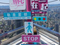 -WFC会仙楼观景台