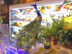 -涨巢·潮玩水疗局