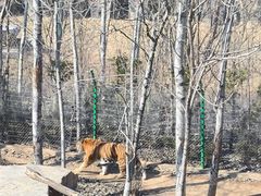 -济南野生动物世界