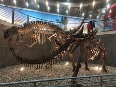 -国家自然博物馆