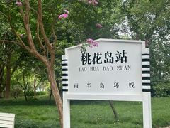 -金鸡湖桃花岛