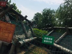 -东方绿舟景区