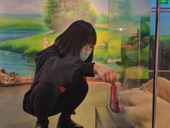-昆明大悦城未来动物城(螺蛳湾中心店)