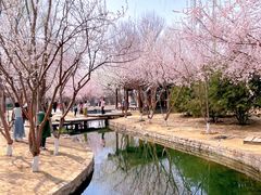 -三里河公园