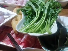 茼蒿-傣妹火锅(南京东路一店)