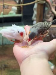 -Zoolung Zoolung动物主题公园(海信广场店)