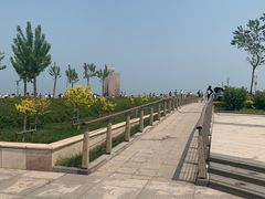 -东疆建设开发纪念公园