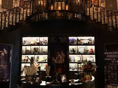 -雪灵魔法世界SHELLY’S TAROT(大良桂畔里店)
