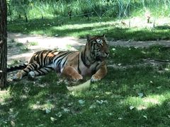 -北京野生动物园