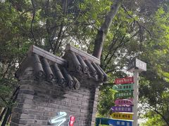 -铁山坪森林公园