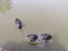 -宁波杭州湾国家湿地公园