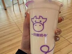 -一只酸奶牛(双流万达广场店)
