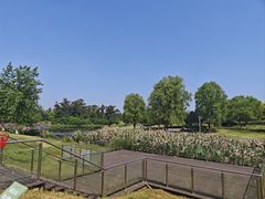 -两河城市森林公园