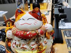 -星光摄影器材城