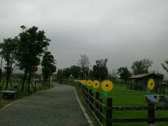 -田园东方蜜桃村的田野营地