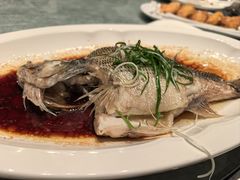 -凤凰园烤鸭店·唐山菜·传承花椒肉(老唐丰路店)