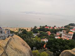 -八婆婆烧仙草(曾厝垵店)