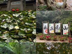 -南山风景名胜区