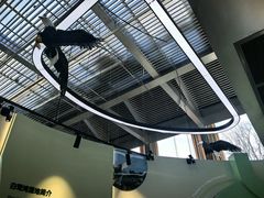 -白鹭湾湿地公园