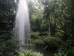 -绿光森林餐厅