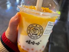 -娃哈哈·奶茶(武林店)