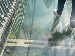 -石燕湖生态旅游景区