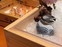 -月龍吟(朝龙汇店)