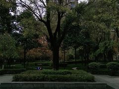 -木塔寺遗址生态公园