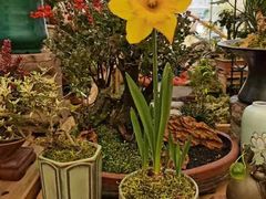 -三圣花乡旅游区