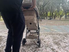 -太阳宫公园