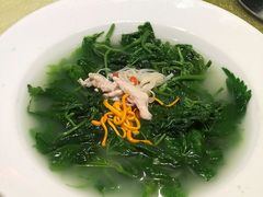 上汤桑叶-五邑人家(江门店)