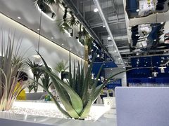 -兰湘子·湘菜小炒(崂山丽达店)