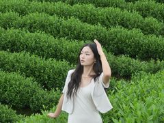 -帐篷客·溪龙茶谷度假酒店