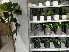 -OCE(熙地港购物中心店)