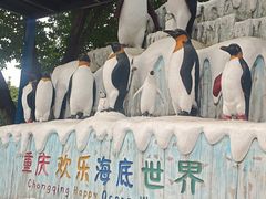 -重庆欢乐海底世界