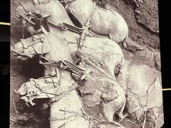 -秦始皇帝陵博物院-丽山园