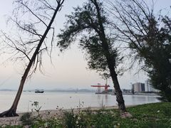 -广东惠东海龟国家级自然保护区