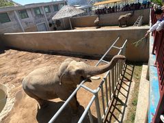 -西霞口神雕山野生动物世界