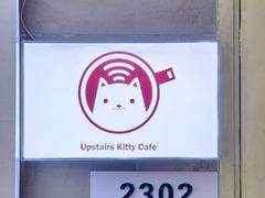 -楼上猫咖(罗湖店)