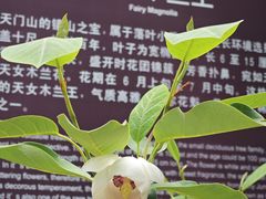 -大连天门山国家森林公园