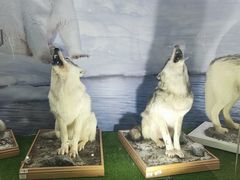 -郑州自然博物馆(惠济区)