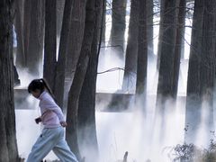 -东湖落雁景区