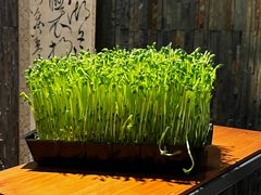 -湊湊火锅·茶憩(南京东路悦荟店)