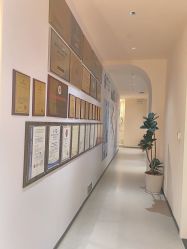 -哈喽美妈产后恢复中心(乐堤港店)